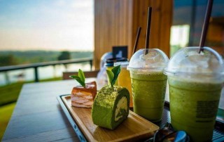 choui fong tea plantation, choui fong chiang rai, choui fong tea