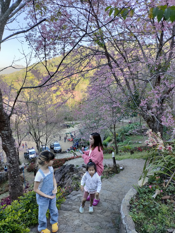 phu chi fah, phu chifah, phu chi fa, phu chifa, phu chee fah, phu chee fa