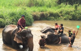 elephant care program, elephant care program, elephant sanctuary program, karen people with elephants, the relation of karen people with elephants