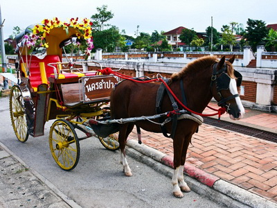 horse carriage in lampang, horse carriage, horse carting in lampang