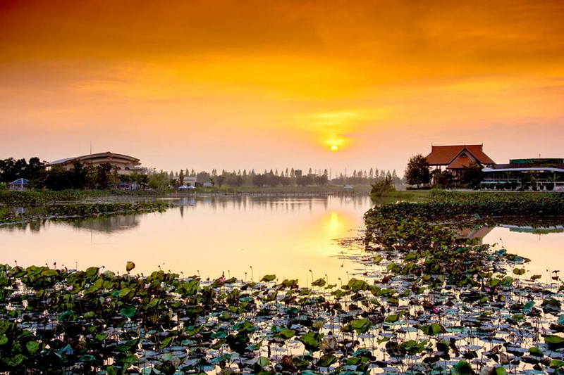 bueng boraphet, bung boraphet, bueng boraphet nakhon sawan, bung boraphet nakhon sawan