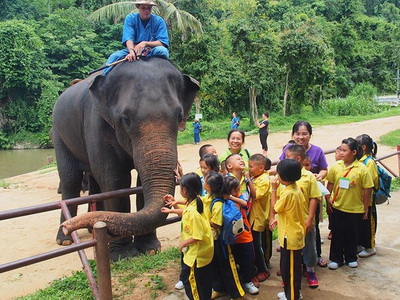 Elephant Conservation Center : Let’s see those lovely elephants