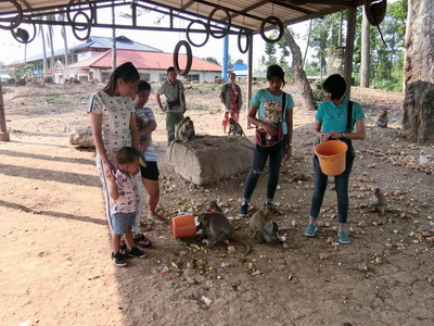 wat khai mee ling, wat khai mee ling ayutthaya, wat khai, wat kai mee ling, wat khai mee ling ayutthaya, attractions in ayutthaya, wat khai ayutthaya, wat kai ayutthaya