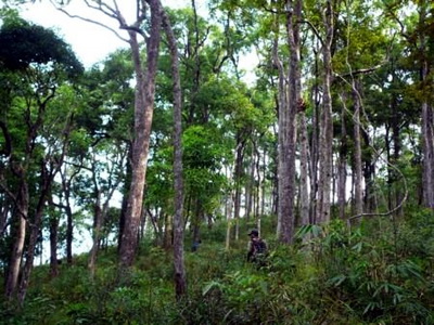 mae wa national park, mae wa forest park, mae wa national park lampang, national parks in lampang