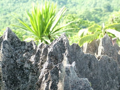 doi pha klong national park, doi pha klong forest park, national parks in phrae, attractions in phrae