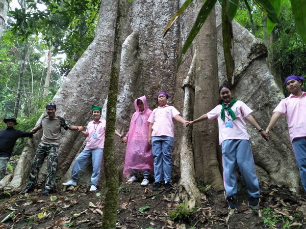 mae yom national park, mae yom forest park, national parks in phrae, attractions in phrae