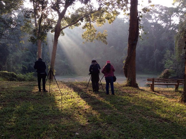 mae yom national park, mae yom forest park, national parks in phrae, attractions in phrae