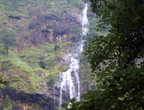Tad Mok Waterfall