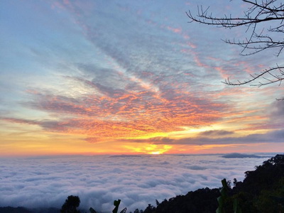 doi mae chok, doi mae chok in nan, doi mae chok of khunsatan national park, doi mae chok in khunsatan national park