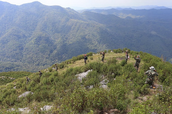 doi phu ka national park, doi phu ka national park in nan, doi phu ka national park nan province, doi phu ka