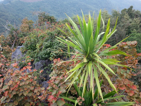 si nan national park, sri nan national park, srinan national park, sinan national park