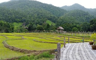 kokulo bridge, pai bamboo bridge, tour pai green season, tour pai, budget tour in pai, pai join in group tour