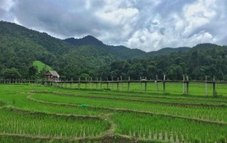 kokulo bridge, pai bamboo bridge, tour pai green season, tour pai, budget tour in pai, pai join in group tour
