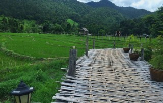 kokulo bridge, pai bamboo bridge, tour pai green season, tour pai, budget tour in pai, pai join in group tour