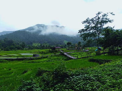 kokulo bridge, pai bamboo bridge