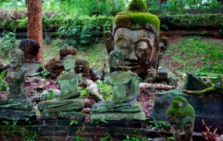 Umong Temple, u-mong temple, wat umong, wat u-mong