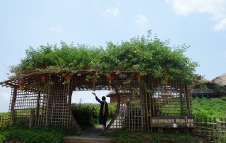 yun lai view point, half day trip in pai, pai half day tour, half day tour in pai, tour pai, budget tour in pai, pai join in group tour, tour in pai