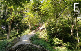 bua tong waterfall, sticky waterfall, buatong waterfall, buatong sticky waterfall