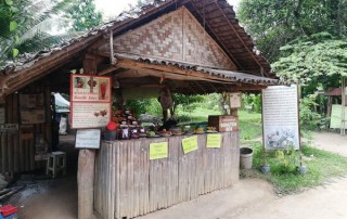 land split, land split in pai, tour pai green season, tour pai, budget tour in pai, pai join in group tour