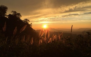 pai canyon, kong lan, tour pai green season, tour pai, budget tour in pai, pai join in group tour