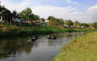 pai tubing, pai rubber tubing, tubing in pai, rubber tubing in pai