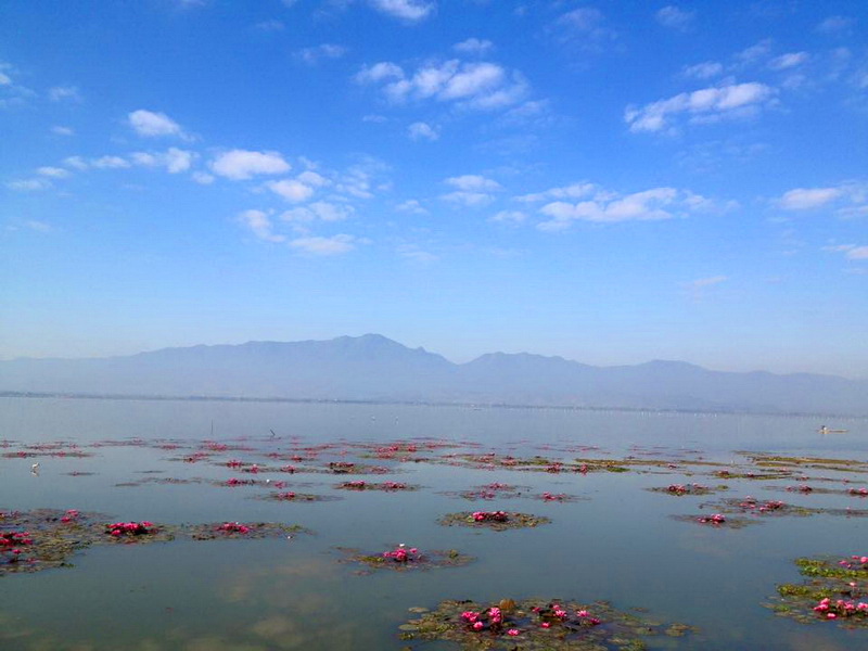 phayao lake, kwan phayao, kwan phayao lake