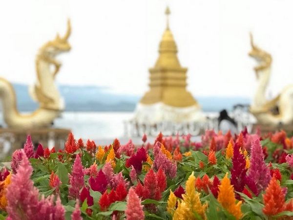 phayao lake, kwan phayao, kwan phayao lake