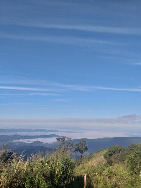 phu langka forest park, pu langka forest park, phu langka forest park in phayao, pu langka forest park in phayao