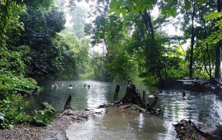 sai ngam hotspring, tour full day in pai, tour pai, budget tour in pai, pai join in group tour, pai day tour, tour pai Thailand, tour in pai