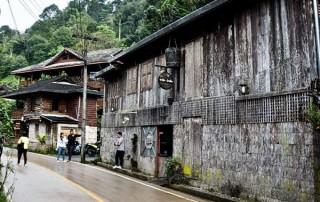 tour ban mae kampong, tour ban mae kampong village. private tour ban mae kampong, private tour ban mae kampong village