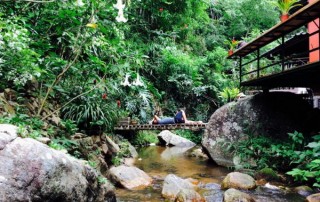 tour ban mae kampong, tour ban mae kampong village. private tour ban mae kampong, private tour ban mae kampong village