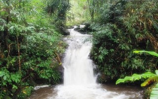 tour ban mae kampong, tour ban mae kampong village. private tour ban mae kampong, private tour ban mae kampong village