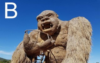 zipline at huat tung tao lake, canopy at huay tung tao lake