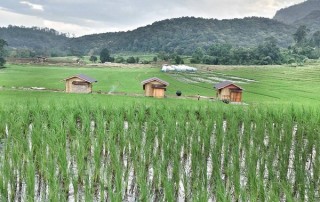 tuktuk driving tour, tuktuk driving tour in chiang mai, tuk tuk driving tour, tuk tuk driving tour in chiang mai