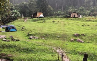 tuktuk driving tour, tuktuk driving tour in chiang mai, tuk tuk driving tour, tuk tuk driving tour in chiang mai