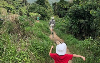 tuktuk driving tour, tuktuk driving tour in chiang mai, tuk tuk driving tour, tuk tuk driving tour in chiang mai