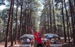 tuktuk driving tour, tuktuk driving tour in chiang mai, tuk tuk driving tour, tuk tuk driving tour in chiang mai