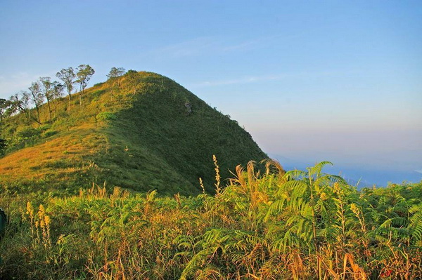 doi phu miang, doi phu mieng, doi phu meang, doi phu miang uttaradit, doi phu mieng uttaradit, doi phu meang uttaradit