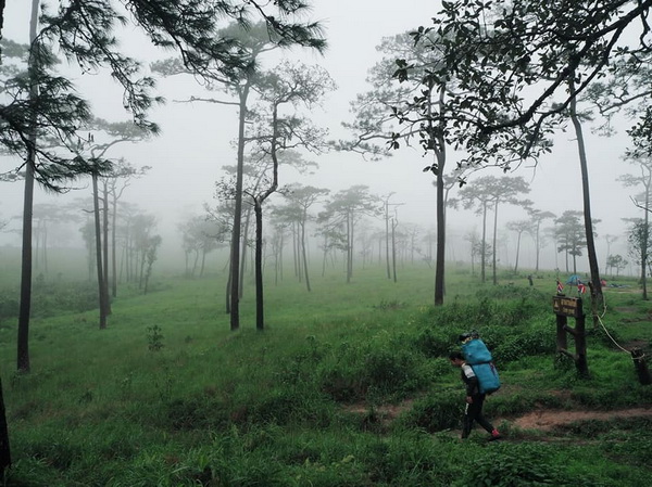 phu soi dao national park, phu soi dao, phu soi dao uttaradit, national parks in uttaradit