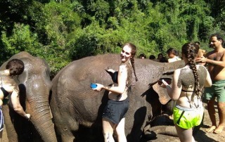 elephant care maewang, hug elephants sanctuary, hug elephants sanctuary mae wang, chiang mai trekking mae wang, chiang mai trekking, trekking in chiang mai