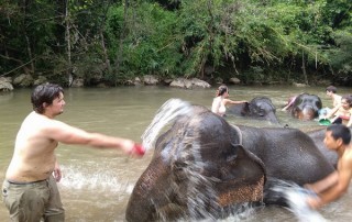 elephant care maewang, hug elephants sanctuary, hug elephants sanctuary mae wang, chiang mai trekking mae wang, chiang mai trekking, trekking in chiang mai