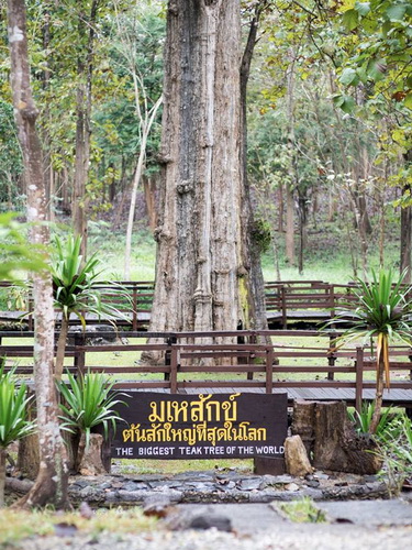 klong tron national park, ton sak yai national park, uttaradit national park, klong tron