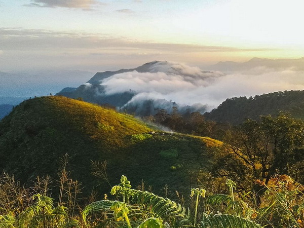 klong tron national park, ton sak yai national park, uttaradit national park, klong tron