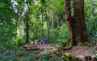 trek ban mae kampong, ban mae kampong, package tour ban mae kampong, 2 days tour ban mae kampong, tour ban mae kampong