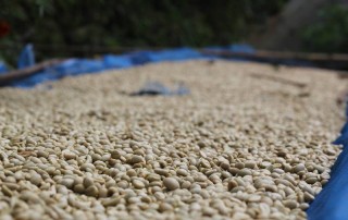 baan mae kampong, package tour ban mae kampong, 2 days tour ban mae kampong, tour ban mae kampong