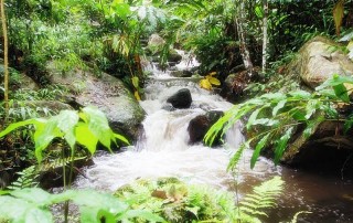mae kampong waterfall, package tour ban mae kampong, 2 days tour ban mae kampong, tour ban mae kampong