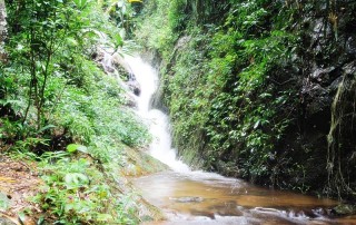 mae kampong waterfall, package tour ban mae kampong, 2 days tour ban mae kampong, tour ban mae kampong