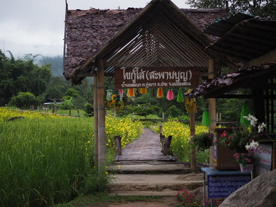 kho kuu so bridge, kho khu so bridge, kho ku so bridge, pai bamboo bridge, kho kuu so bridge in pai, kho khu so bridge in pai, kho ku so bridge in pai