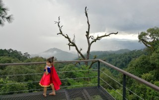 kiew fin, package tour ban mae kampong, 2 days tour ban mae kampong, tour ban mae kampong