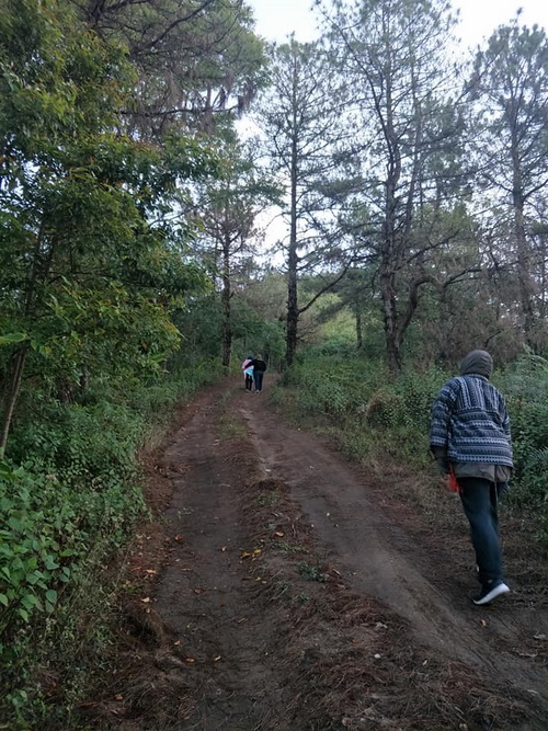 phu chi per, phu chi per khun yuam, phu chi per mae hong son, phu chee per, phu chee per khun yuam, phu chee per mae hong son